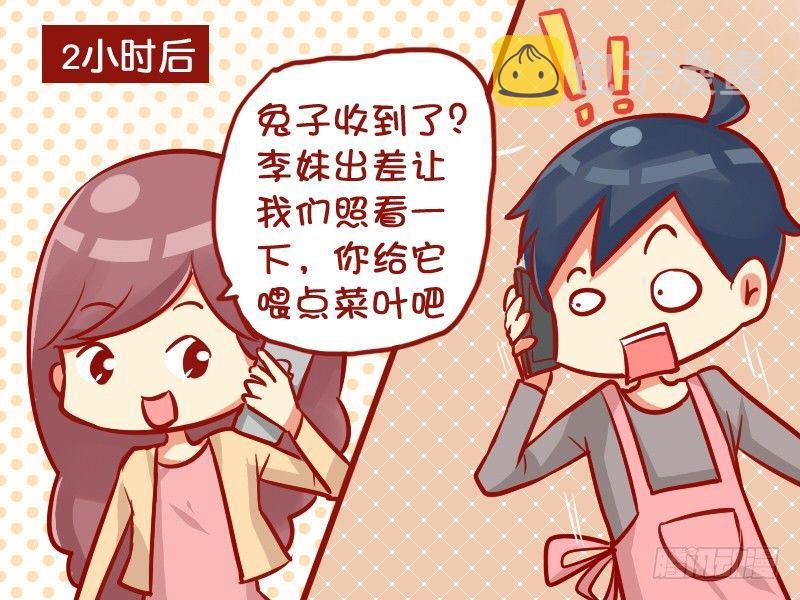 946-可爱兔兔3