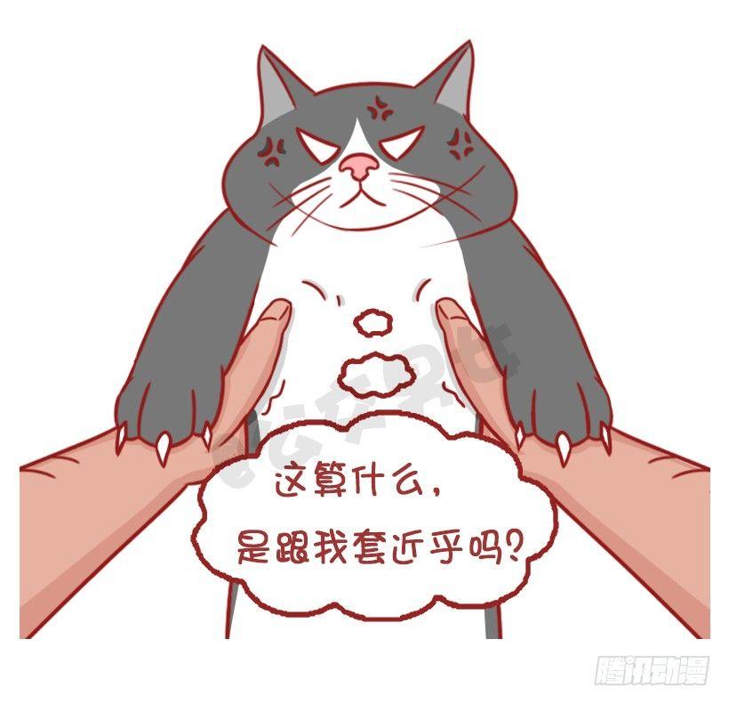 不是说，建国之后动物不能成精吗？4