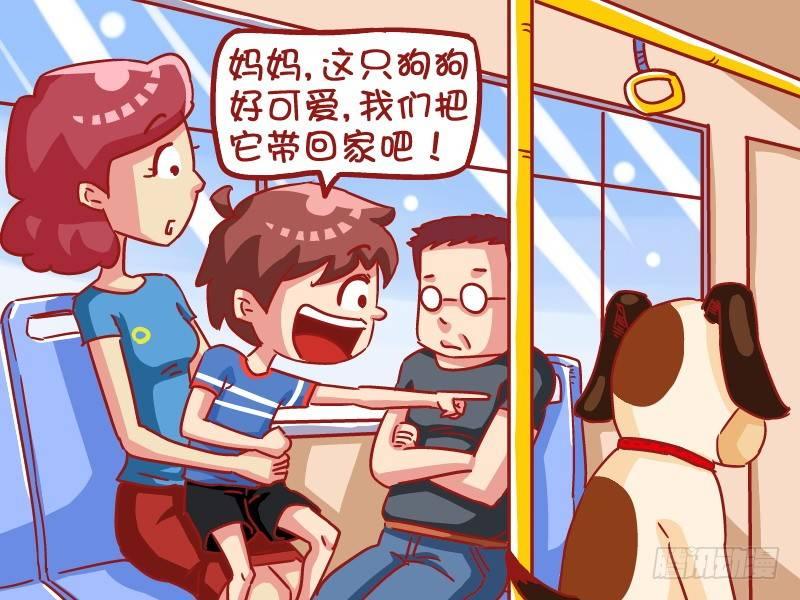 498-狗狗闹公交1