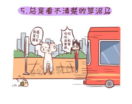 257-十种动物挤公交6