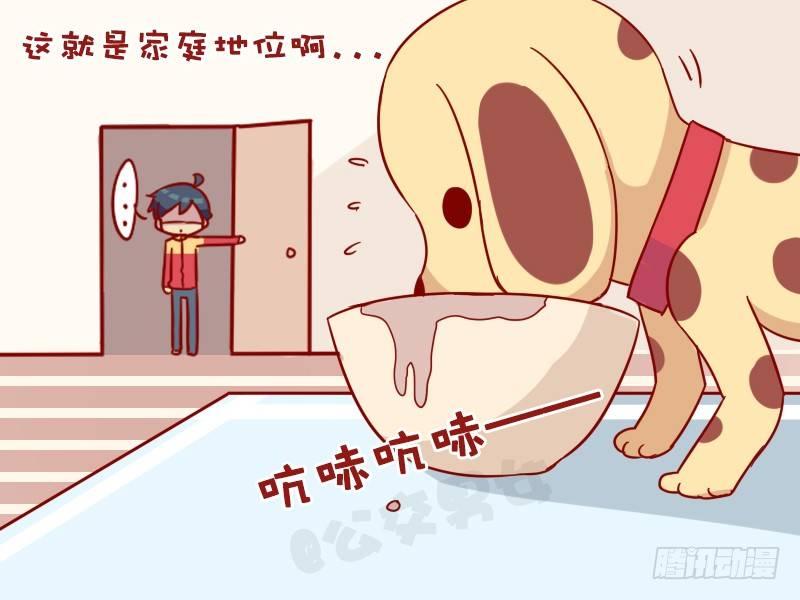 1000-家庭地位4
