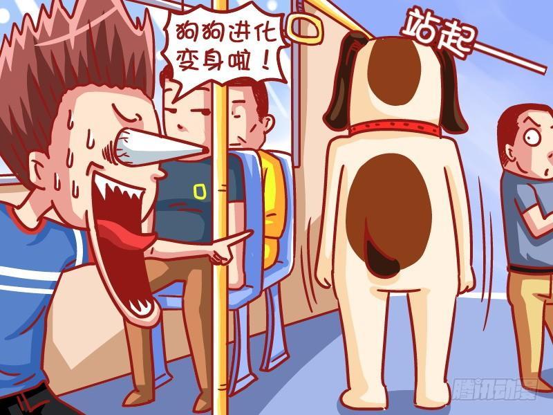 498-狗狗闹公交3