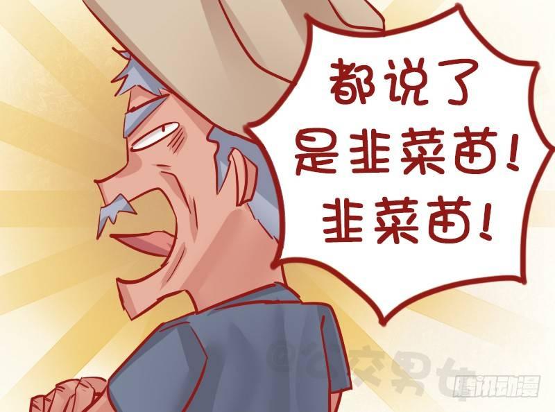 1139-韭菜猫4