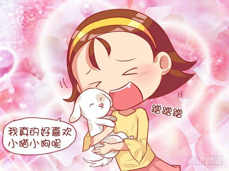792-可爱的小狗2