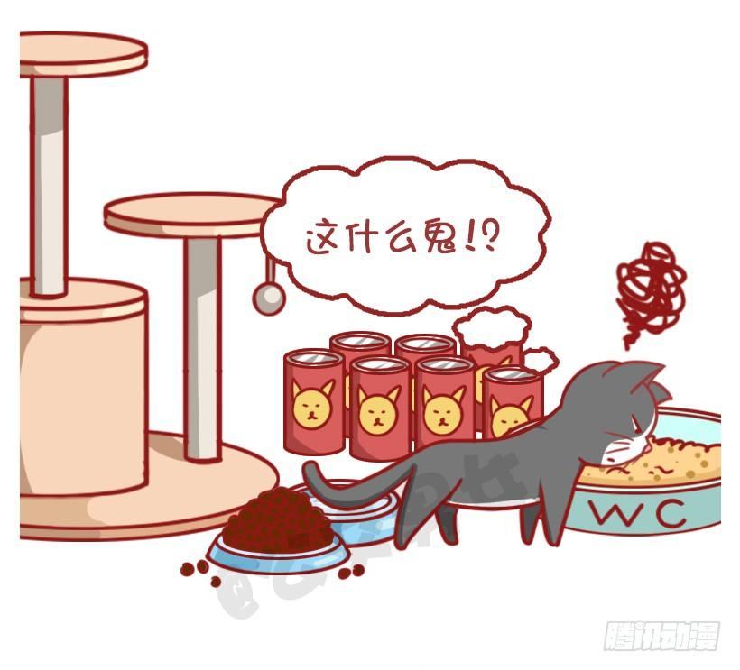 不是说，建国之后动物不能成精吗？11