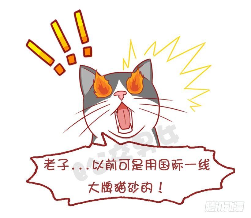 不是说，建国之后动物不能成精吗？13