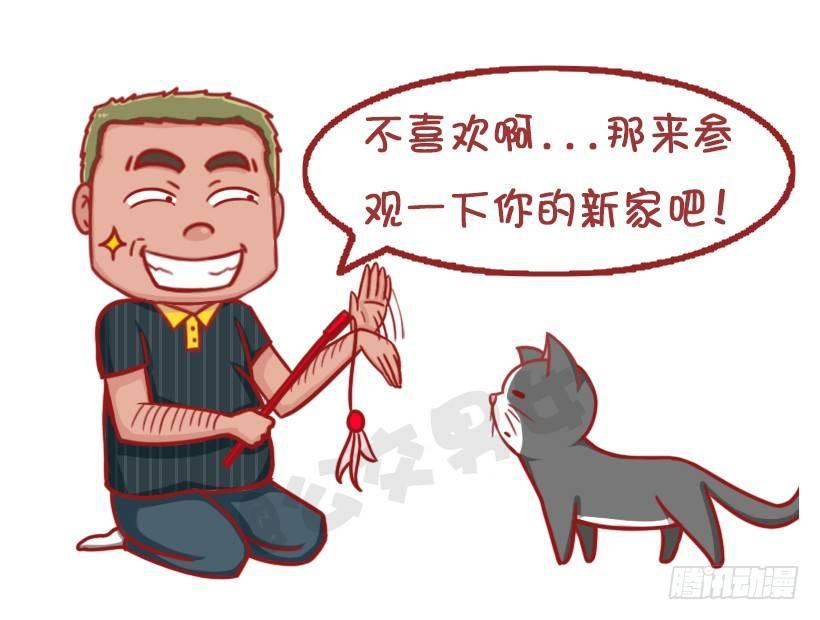 不是说，建国之后动物不能成精吗？9