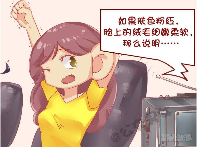 1128-养猪知识讲座2