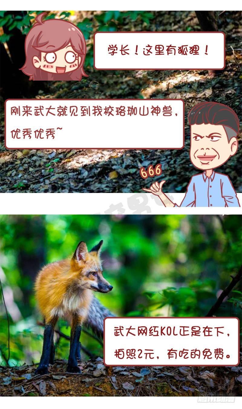 妮妮酱带你游高校11