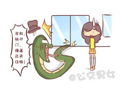 257-十种动物挤公交3