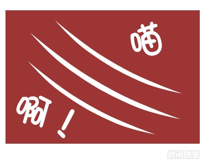 不是说，建国之后动物不能成精吗？5
