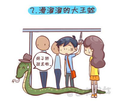 257-十种动物挤公交2