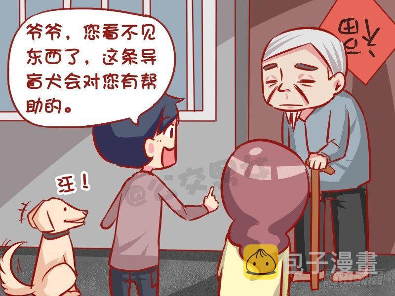 1022-导盲犬3