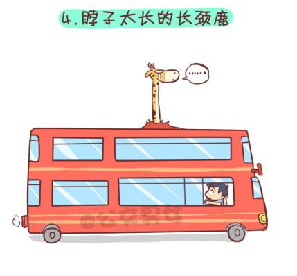 257-十种动物挤公交5