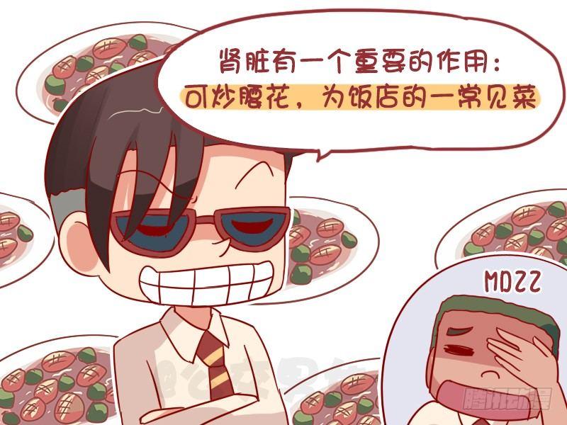 1021-肾脏的作用4