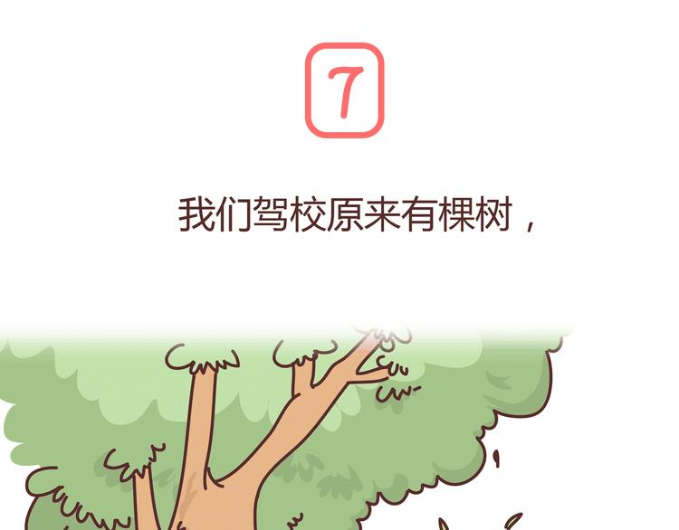 第271话 驾照36