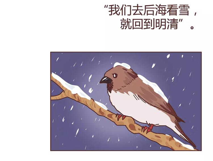 第385话 雪：这人是个傻子吧3