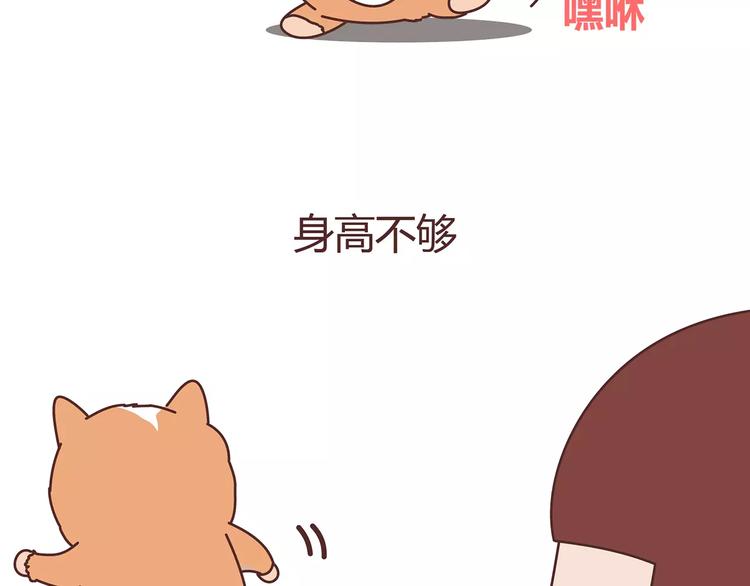 第375话 犬系老公大分类29