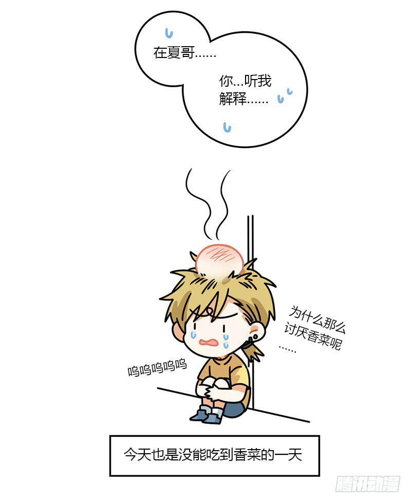54 飞凡日记（1）8