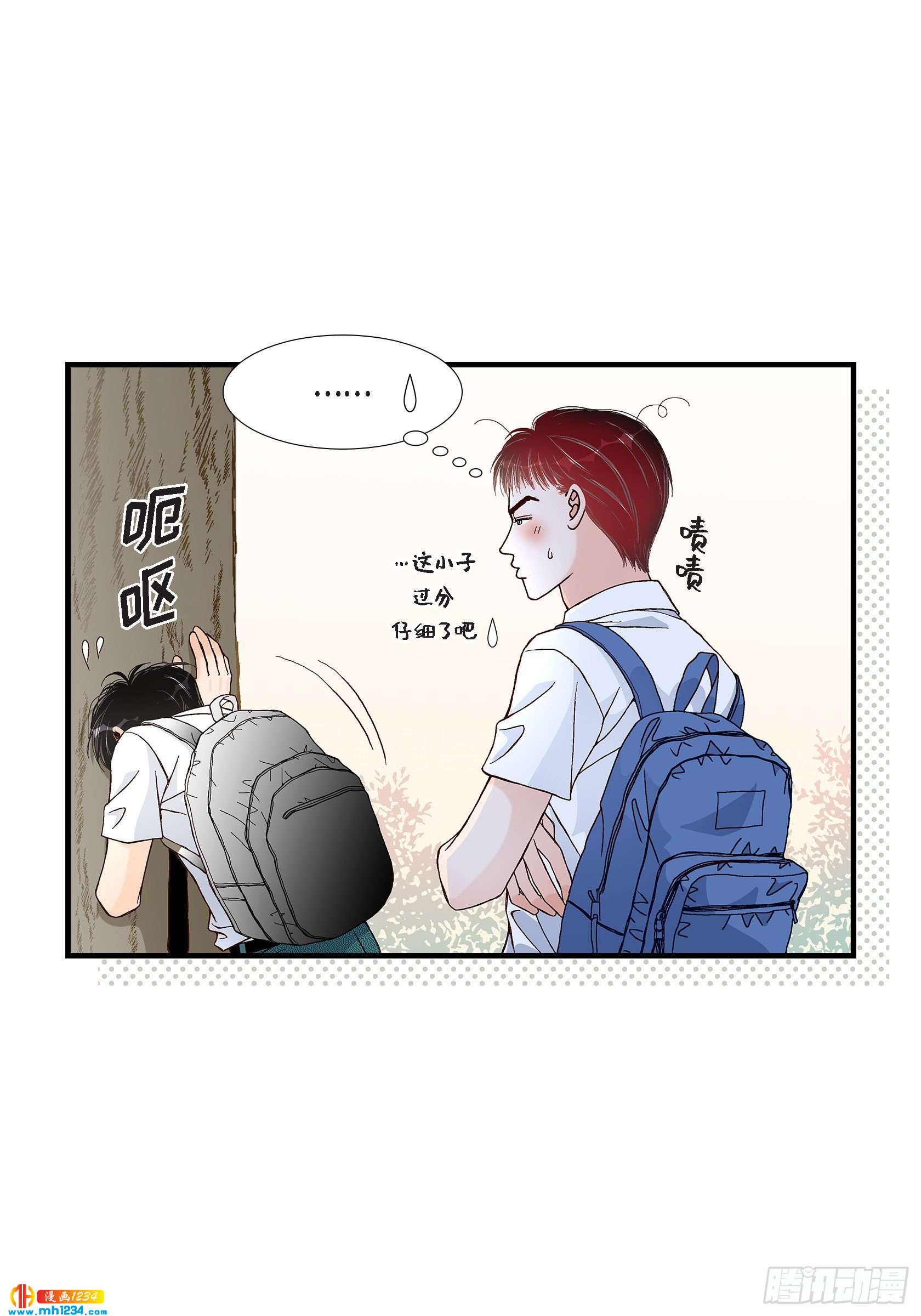 026.权泰基515