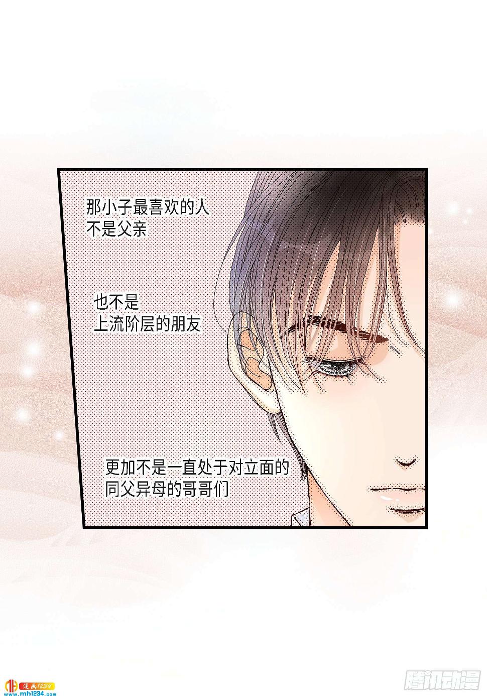 026.权泰基531