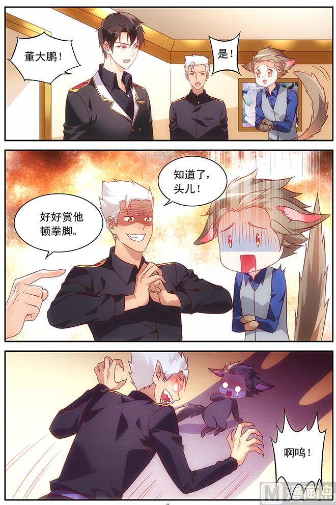 第77话 喜欢就尽力追求1