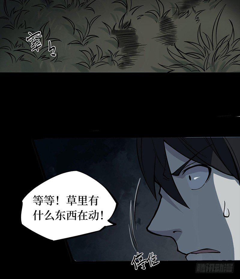 第二卷 人头青（5）13