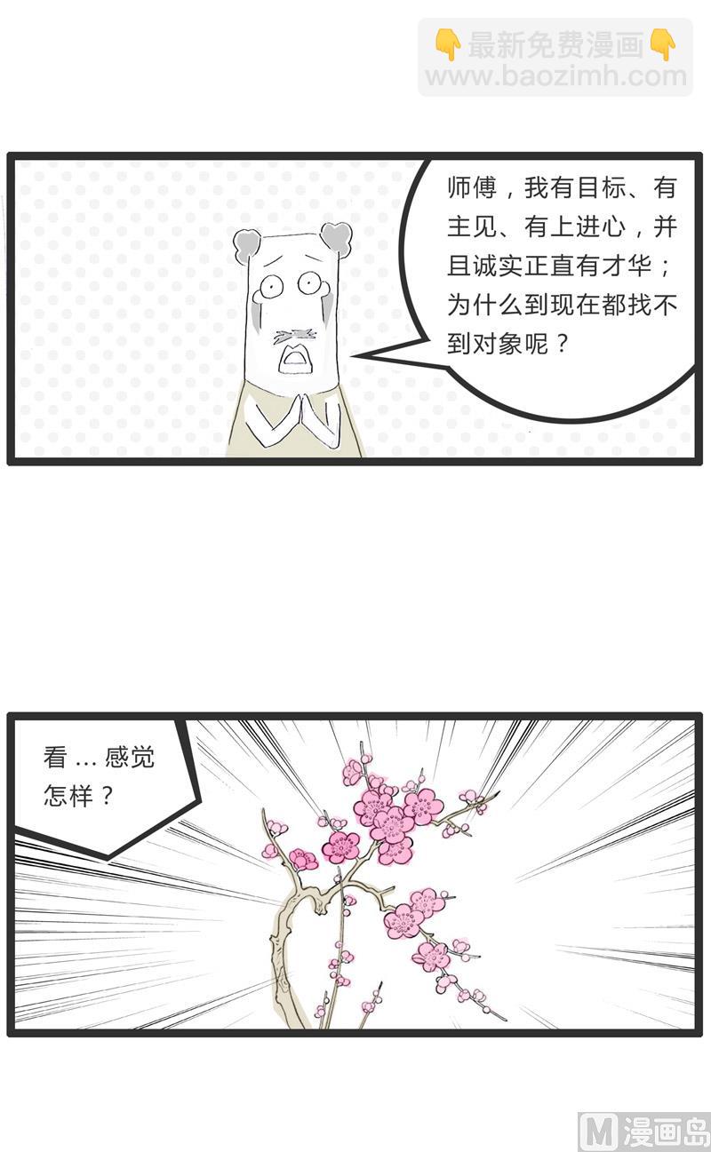 盛开的梅花0