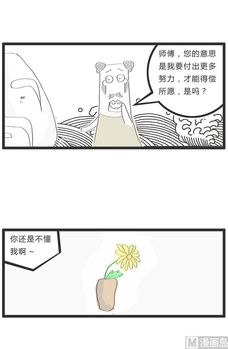 盛开的梅花2