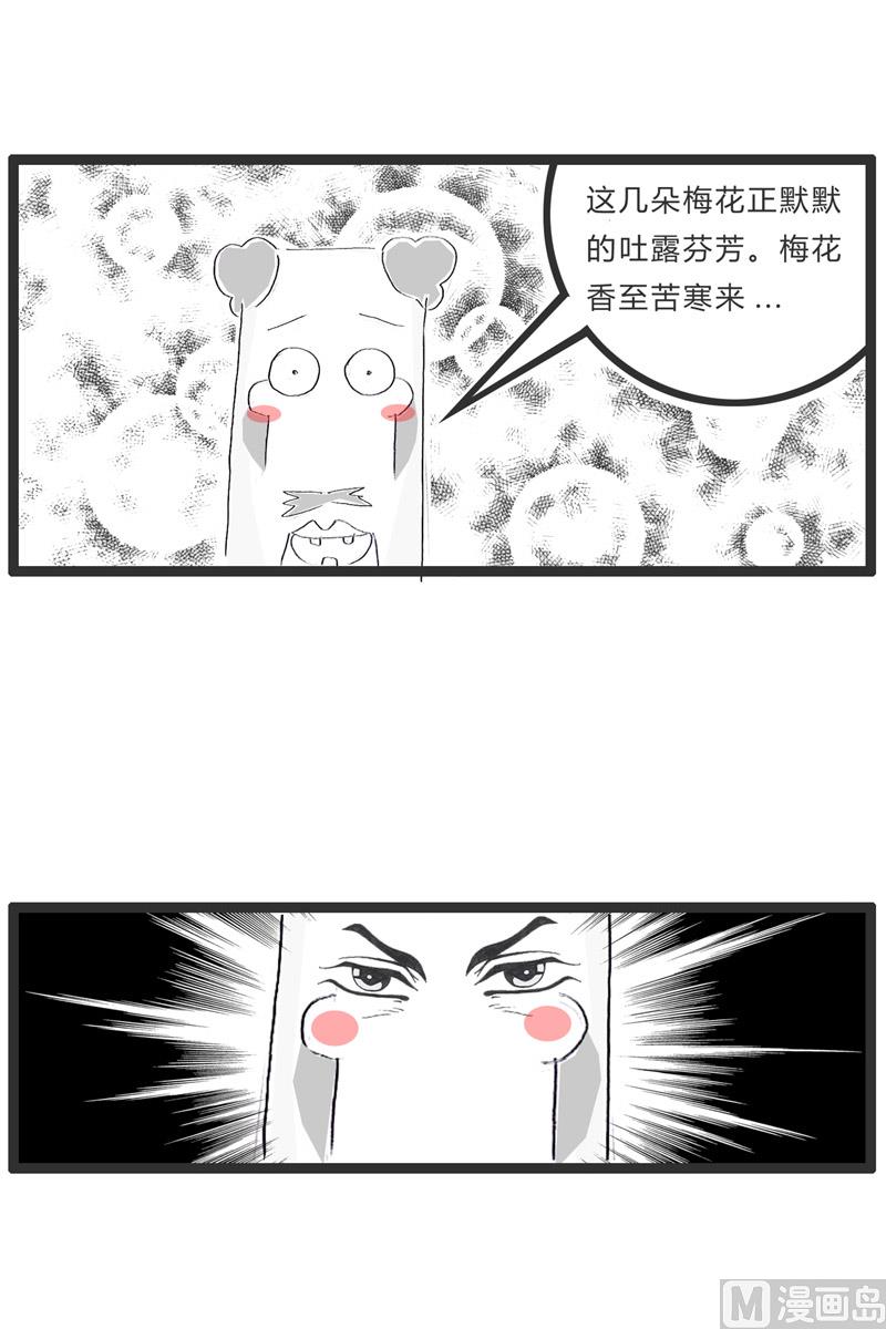 盛开的梅花1