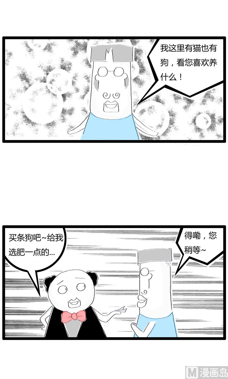喜欢小狗的真正原因1