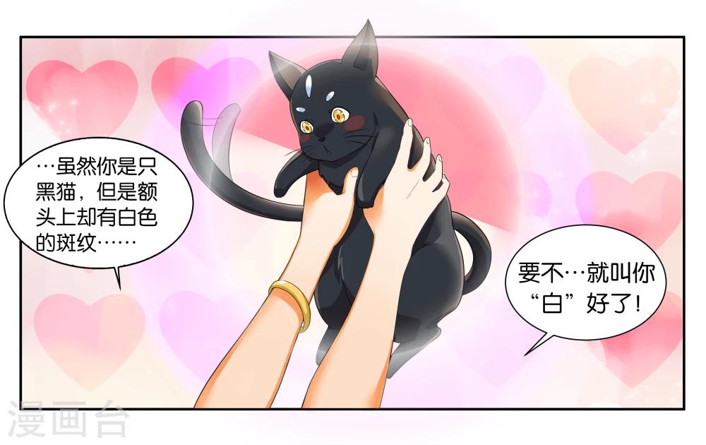 第13话 小鱼干与绿豆饼11