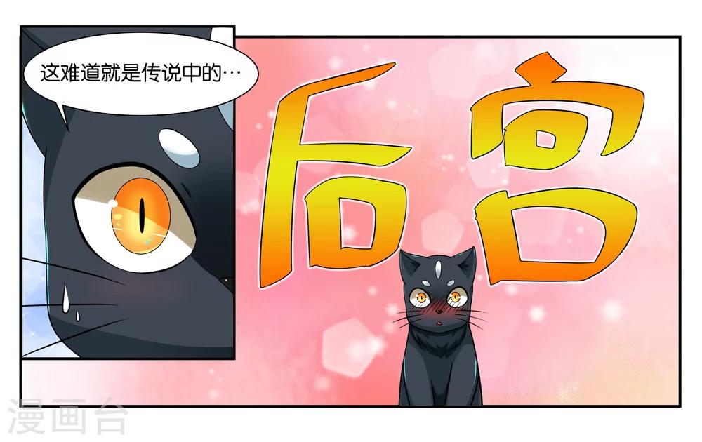 第17话 特别的眼睛0