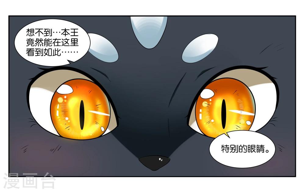 第17话 特别的眼睛3