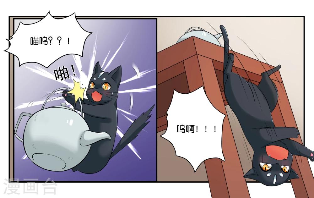 第16话 迷路的小猫咪4