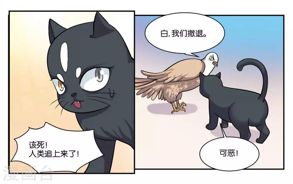 第53话 偷鸡不成蚀把米21