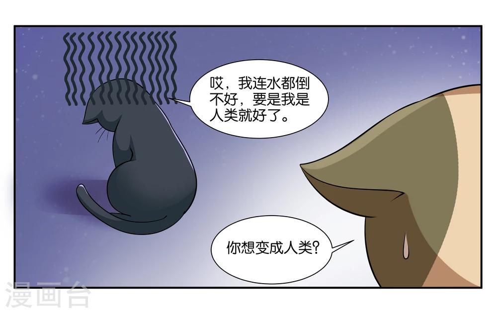 第16话 迷路的小猫咪13