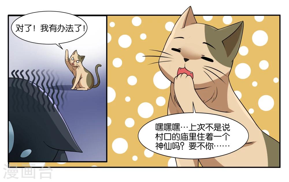 第16话 迷路的小猫咪14