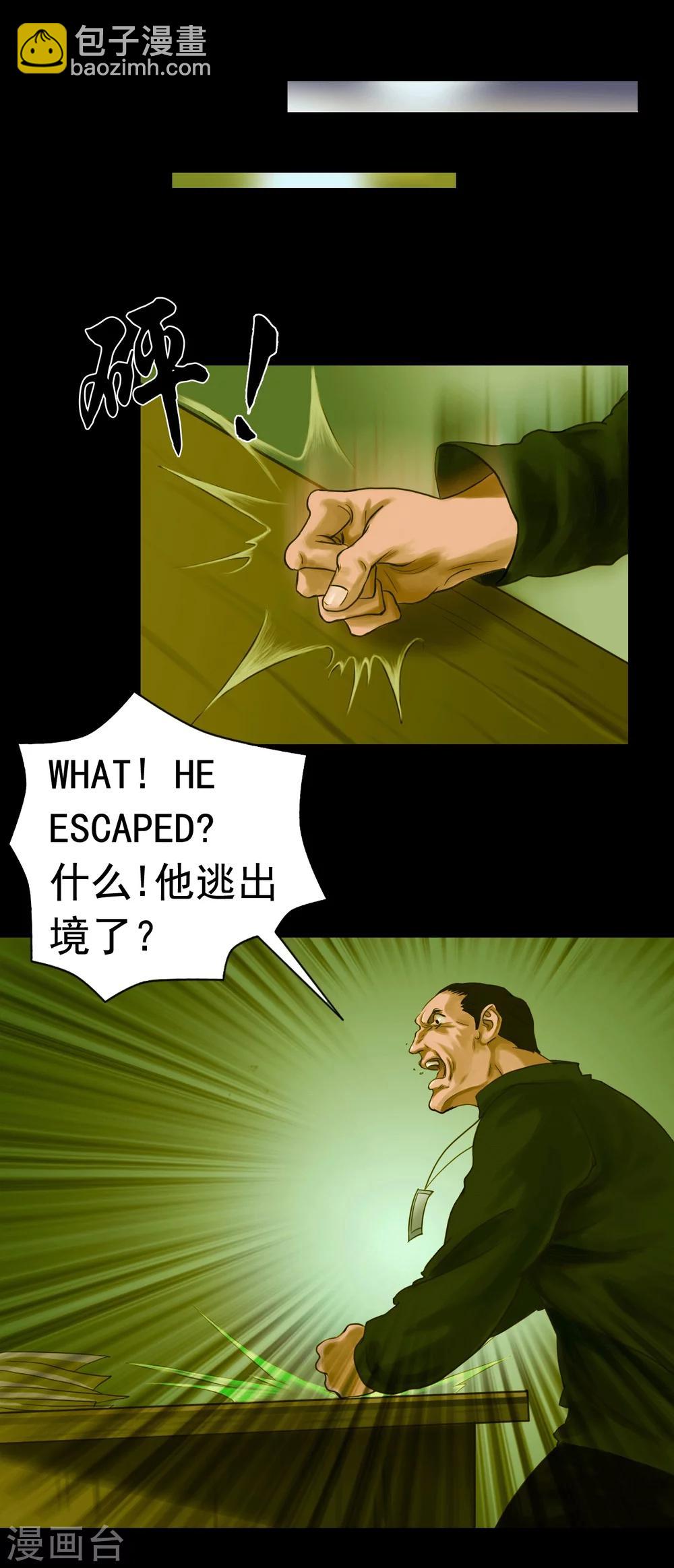 第113话 行动失败17