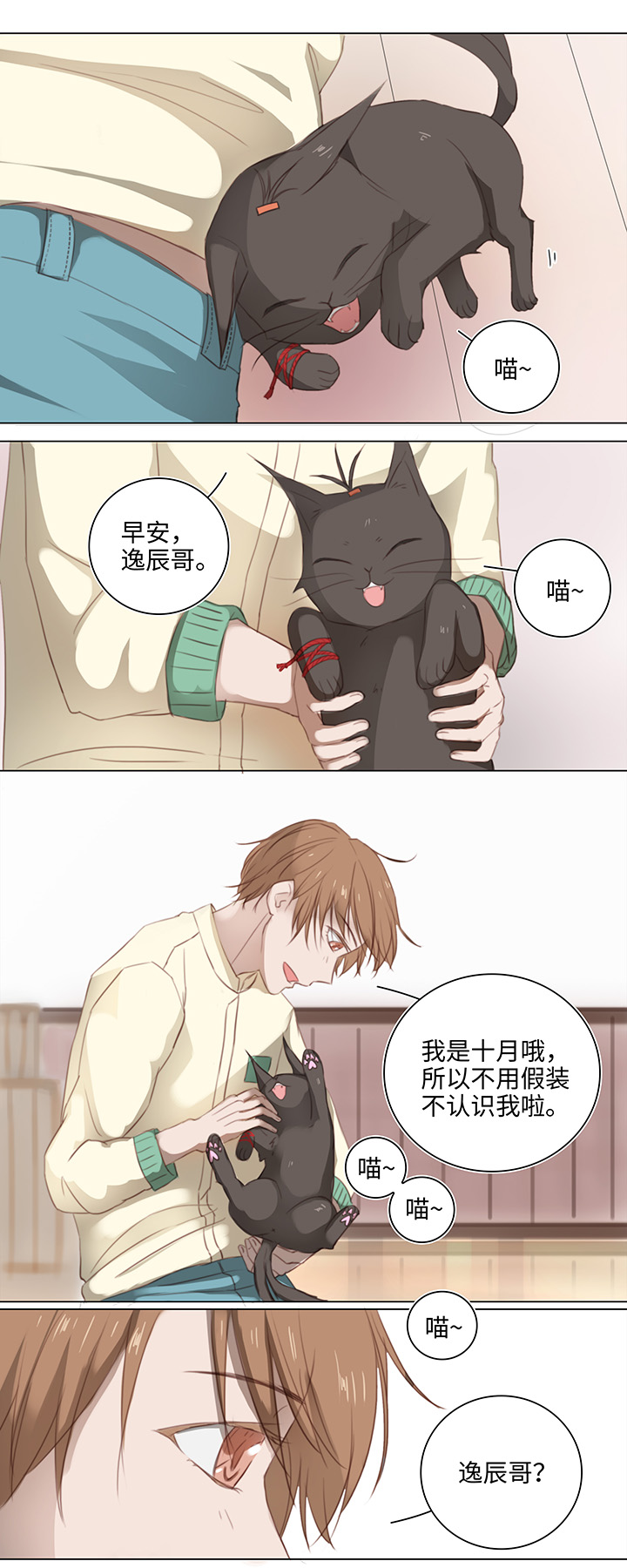 13 辰哥哥不见了！0