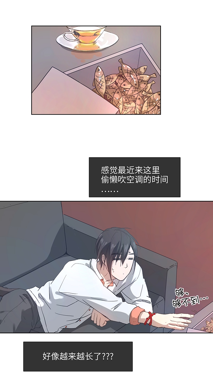 100 茶水和鱼干3