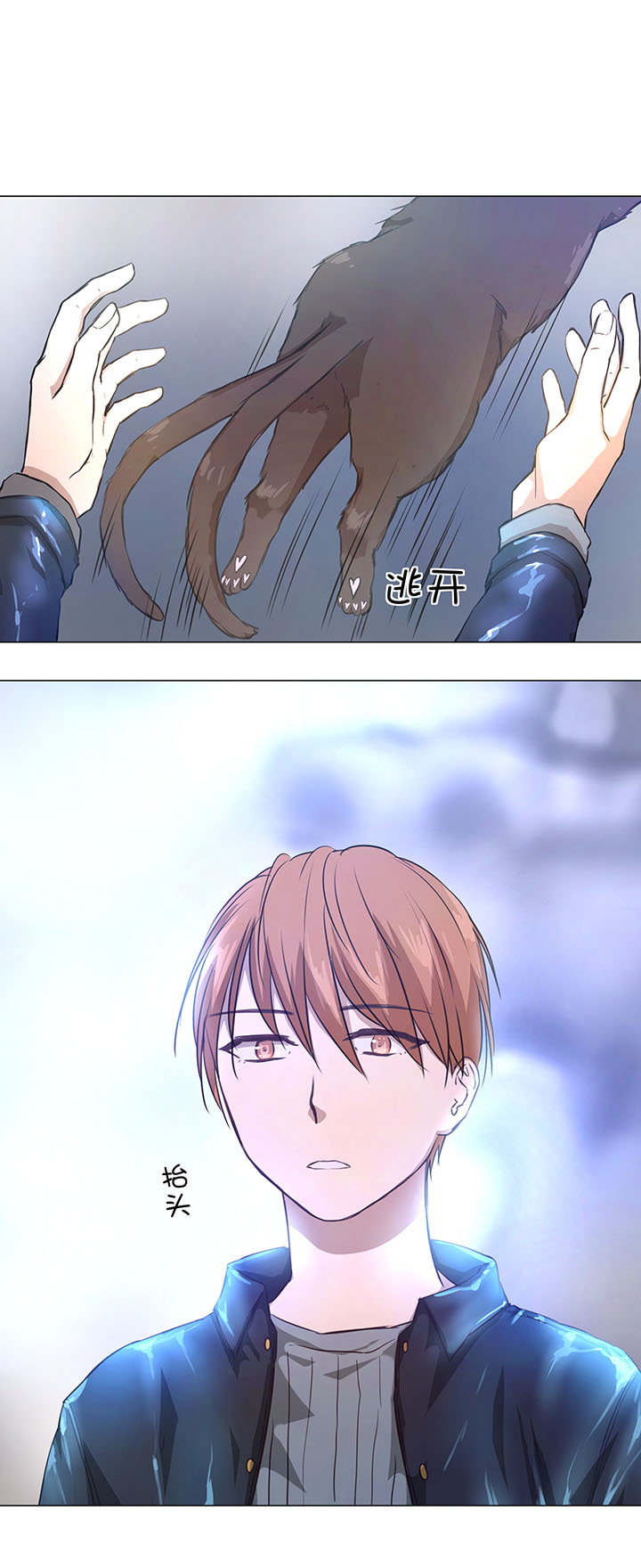 72 一场梦17