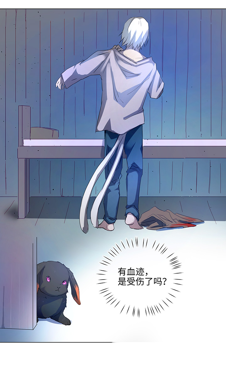 57 黑猫传说.二9