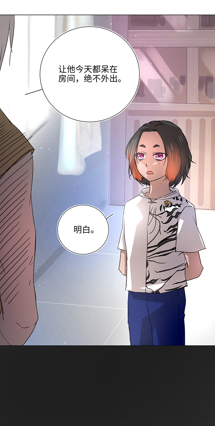 51 伪装3
