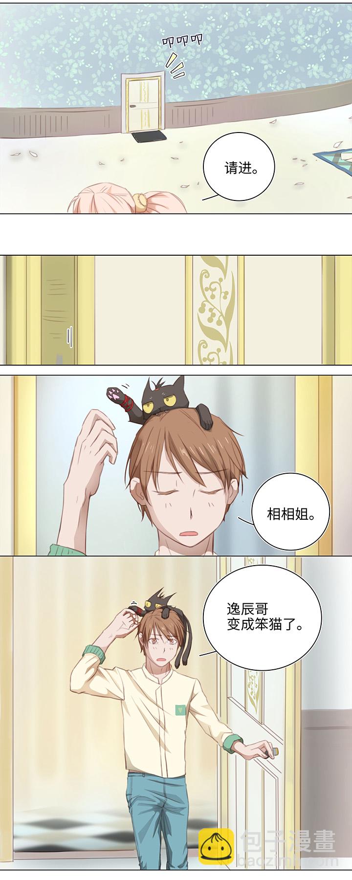 13 辰哥哥不见了！4