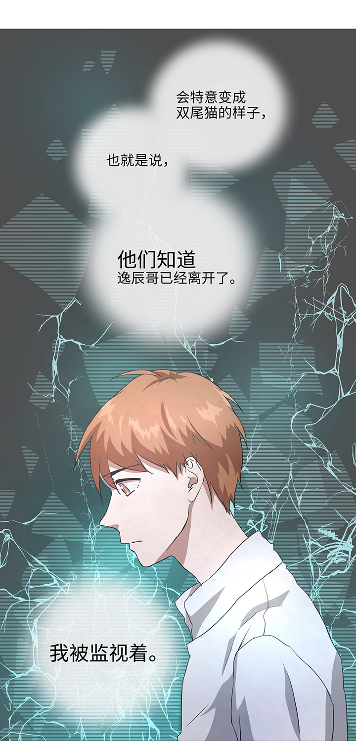 78 告诉我吧7