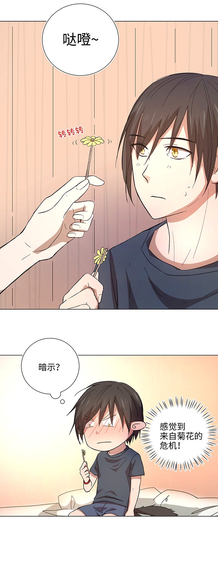 46 小菊花4