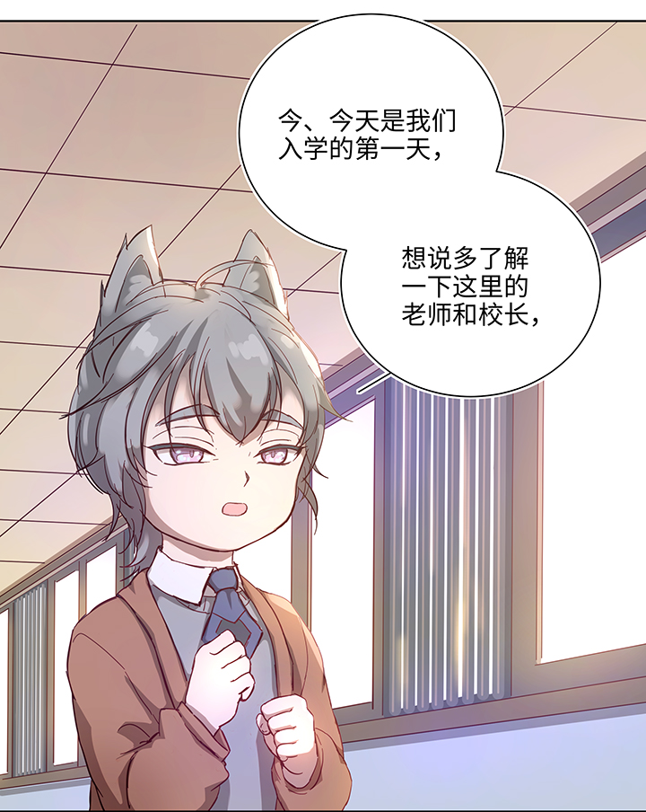 番外③ 泠珝与异色瞳狮子猫（上）2