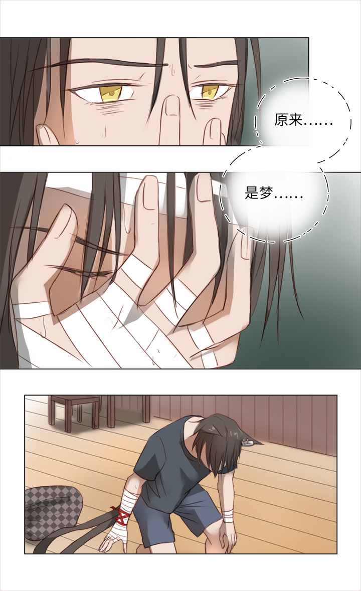 19 梦与回忆7