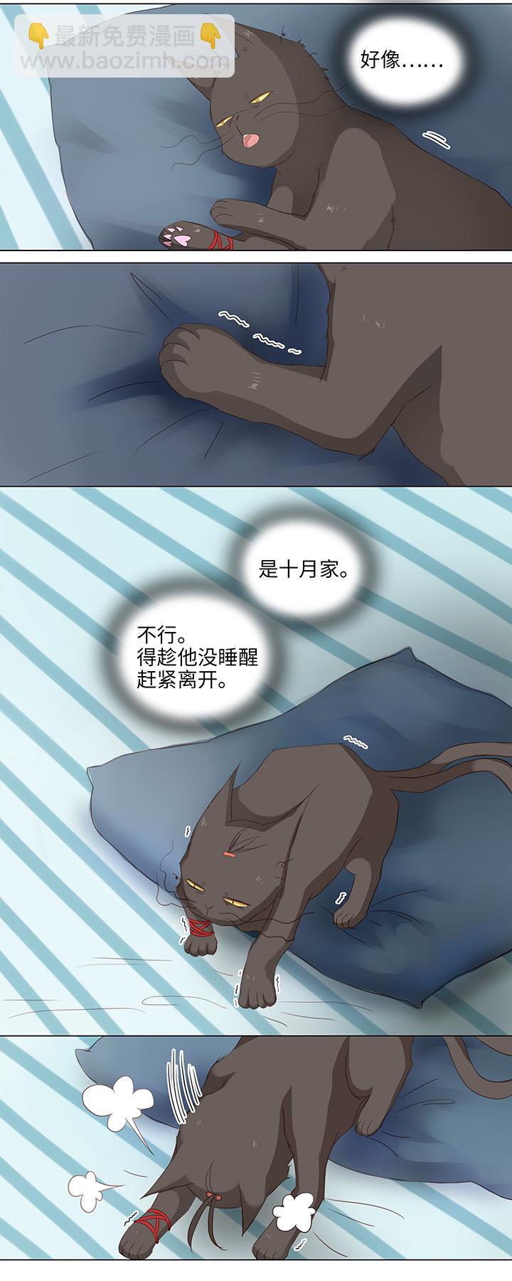14 喵回来啦~3